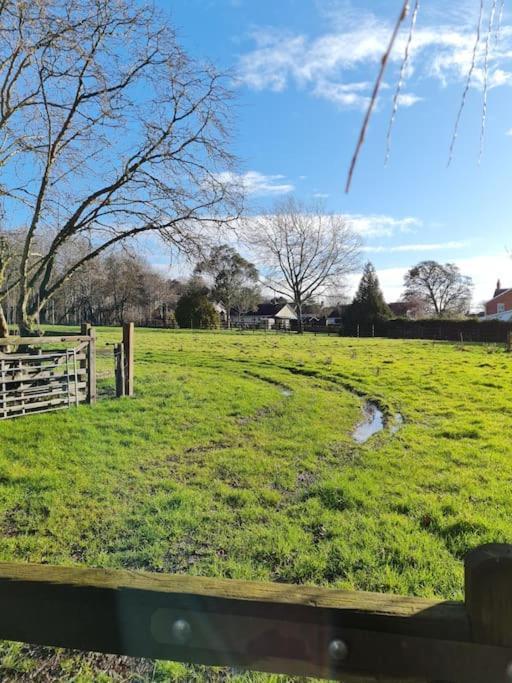 The Little Cottage - Peaceful, Dog Friendly Cottage In 5 Acres Glastonbury Exterior photo