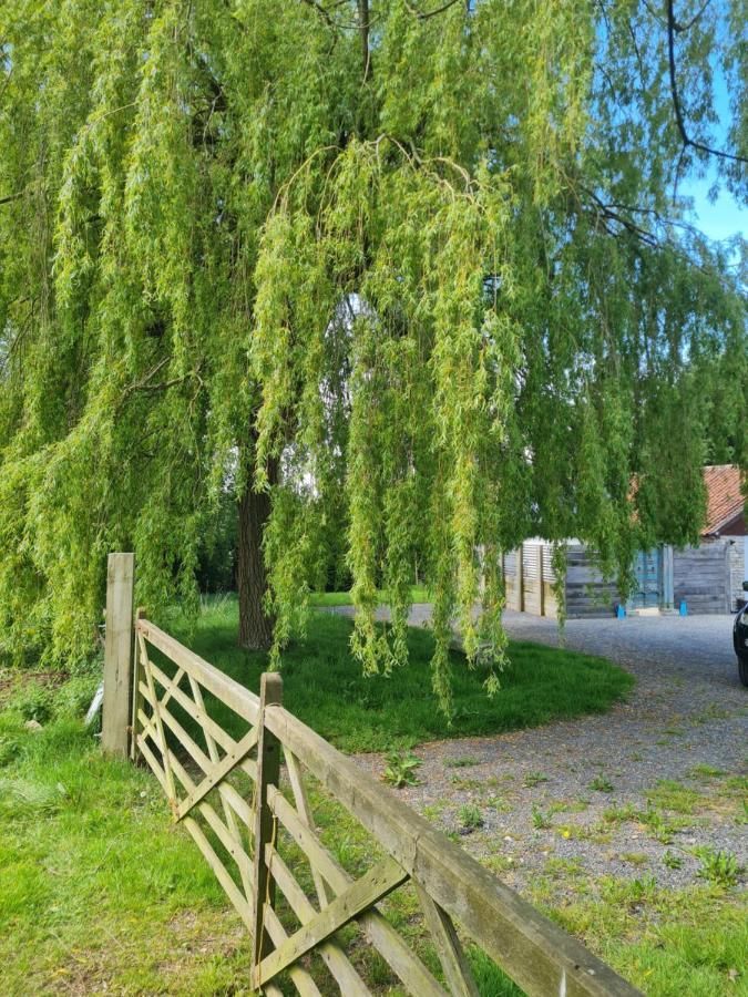 The Little Cottage - Peaceful, Dog Friendly Cottage In 5 Acres Glastonbury Exterior photo